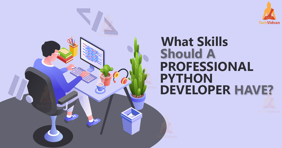 What Skills Should A Professional Python Developer Have