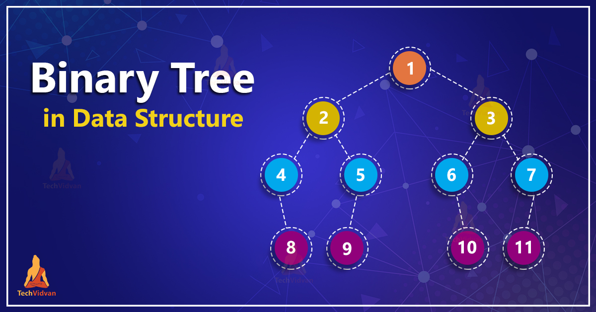 Binary tree in Ds