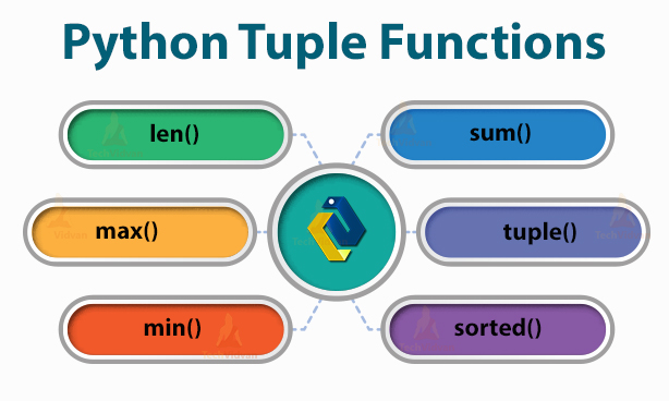 types-of-data-collection-in-python-part-1-of-python-intermediate