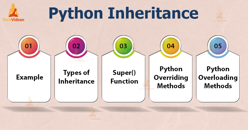 python-inheritance-learn-to-build-relationship-between-classes