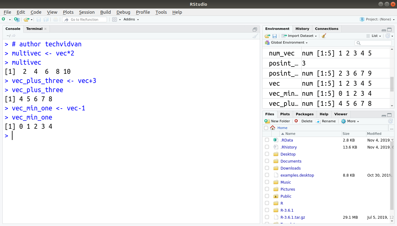 r assignment in vector