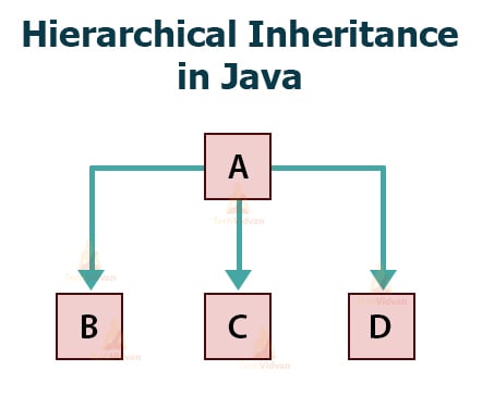 Inheritance in Java - Shiksha Online