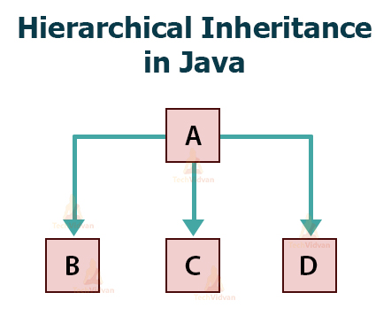 What Is Inheritance In Java - Tutorial With Examples