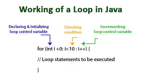 assignment for for loop in java