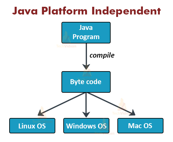Java Inner Class and its 4 Types You Must Know About! - TechVidvan