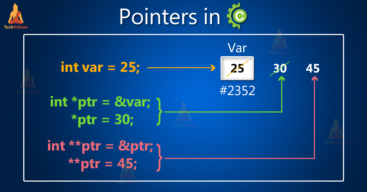 Pointers In C With Examples Techvidvan