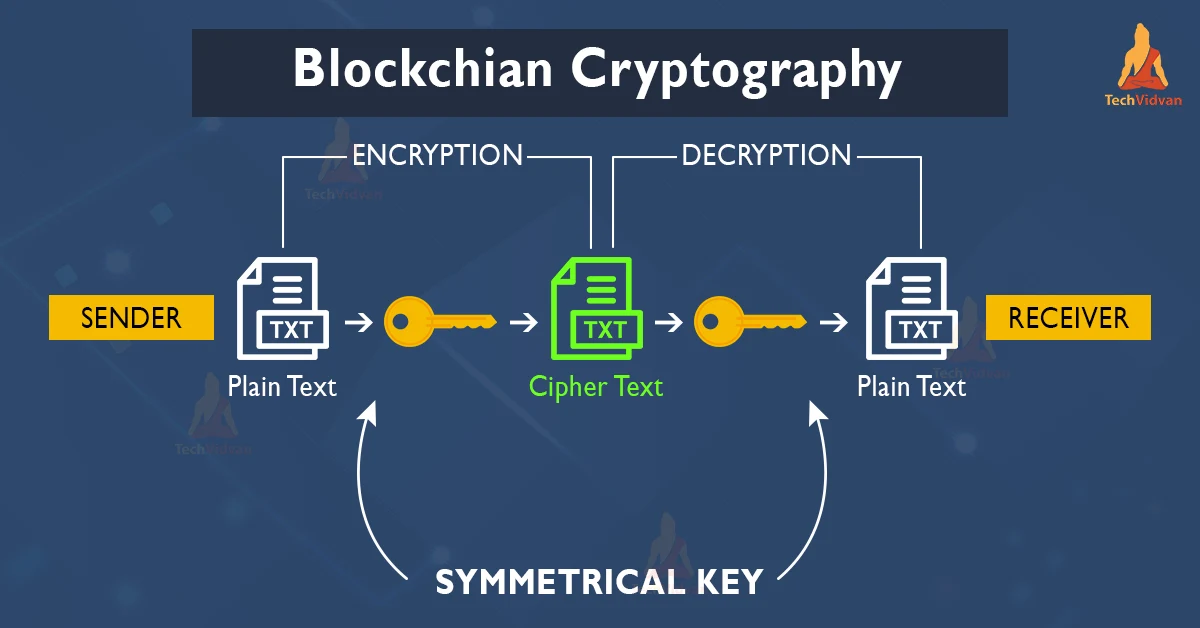 Blockchain cryptography key ethereum latest news now