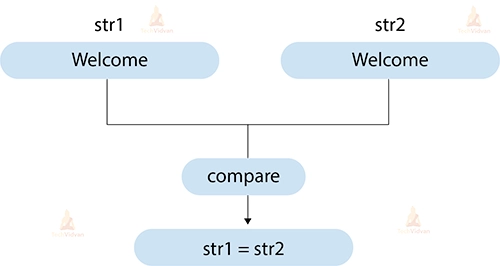 Java String EqualsIgnoreCase() Method - TechVidvan