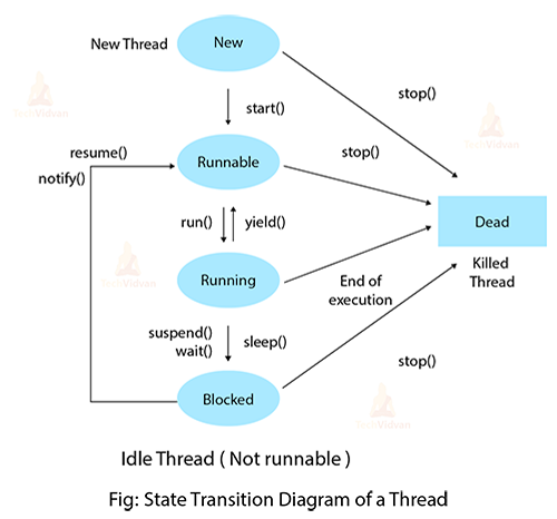 Life Cycle of a Thread in Java - TechVidvan