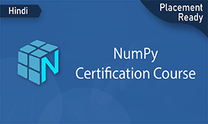 Certified NumPy online training course